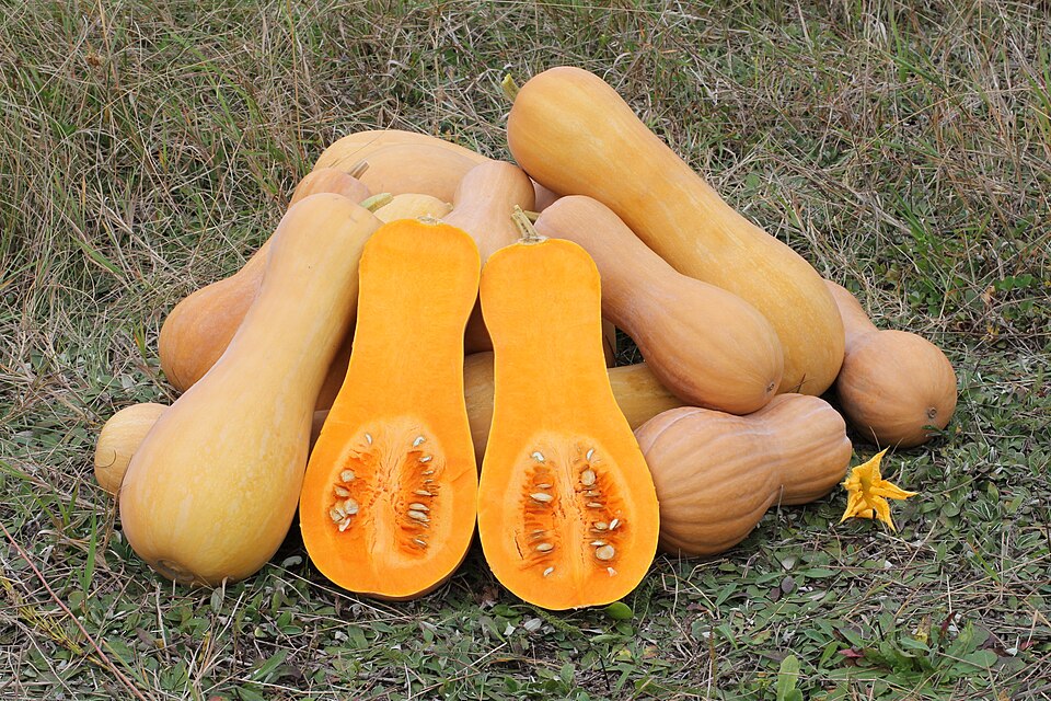 Ahuyama