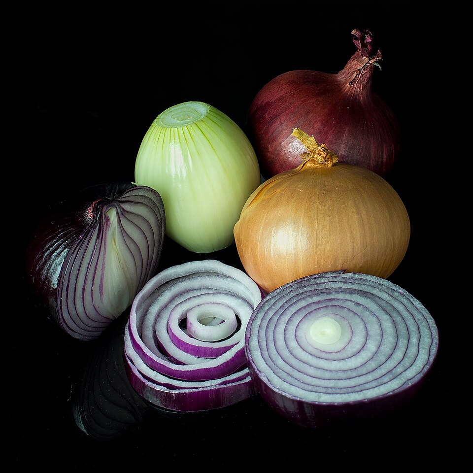 Cebolla cabezona