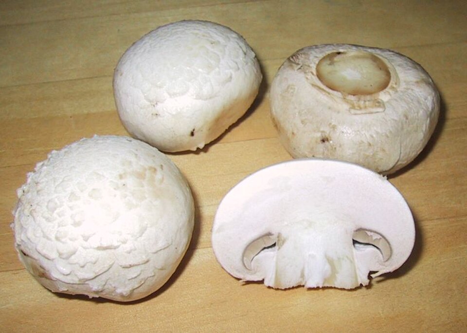 Champiñones tajados