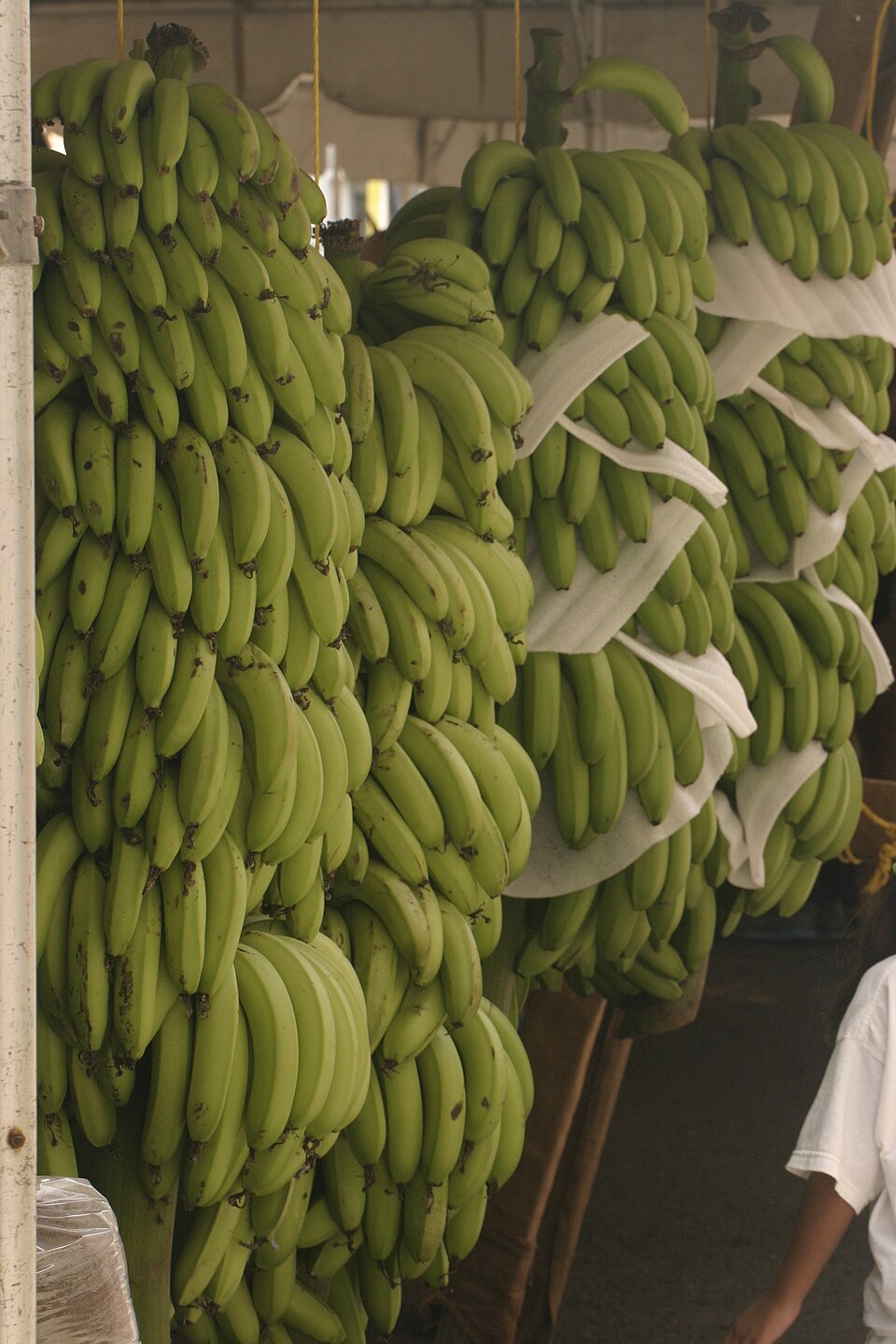 Plátano maduro